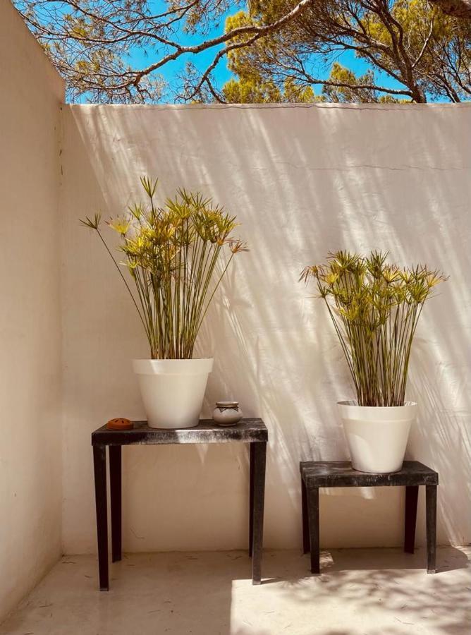 Casa Matelito Villa Playa Migjorn Eksteriør bilde